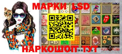 гашик Новозыбков