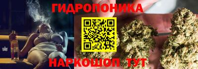 гашик Новозыбков