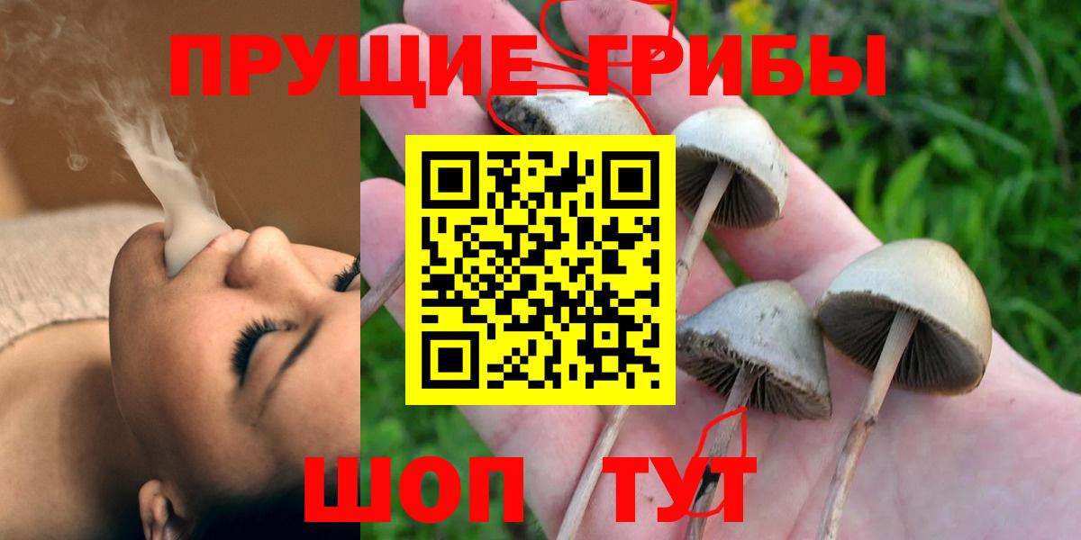 Галлюциногенные грибы MAGIC MUSHROOMS Славгород