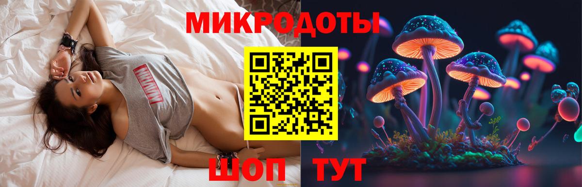 Славгород  Галлюциногенные грибы Psilocybine cubensis  Вход с VPN 